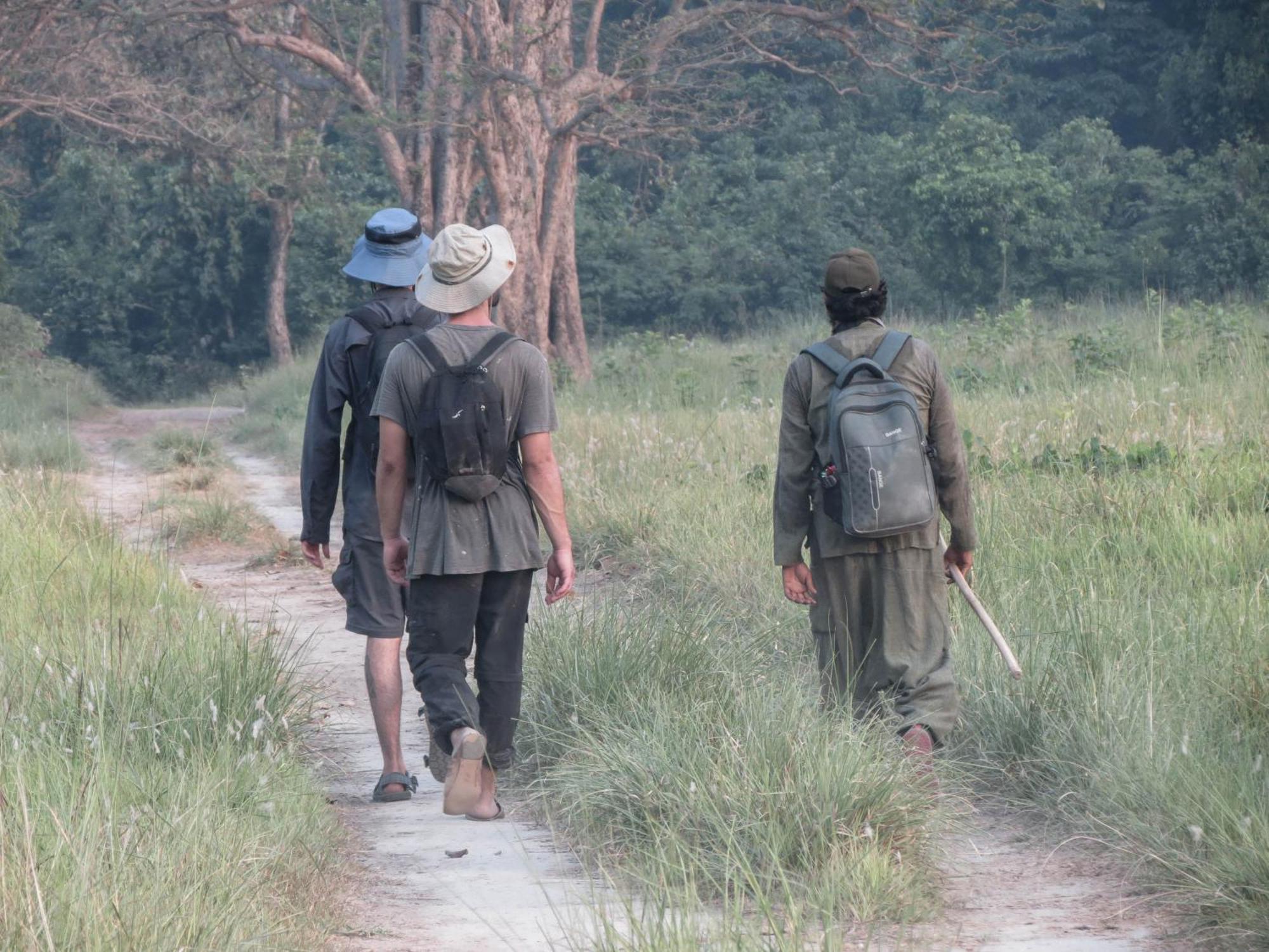 Forest Hideaway Resort Pvt Ltd Bardiya Extérieur photo