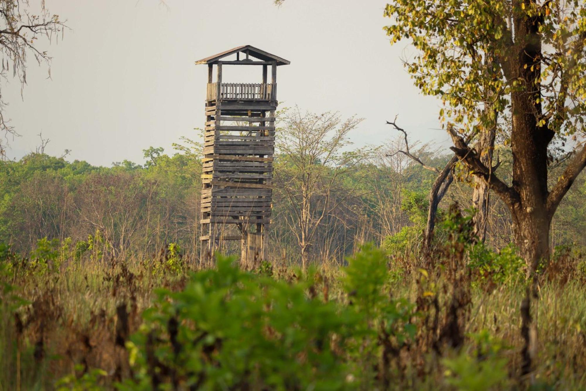 Forest Hideaway Resort Pvt Ltd Bardiya Extérieur photo