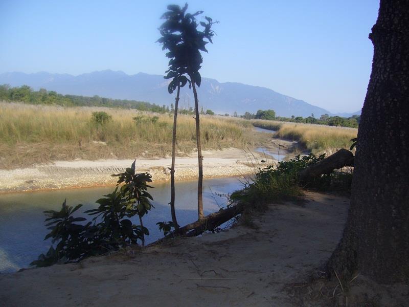 Forest Hideaway Resort Pvt Ltd Bardiya Extérieur photo